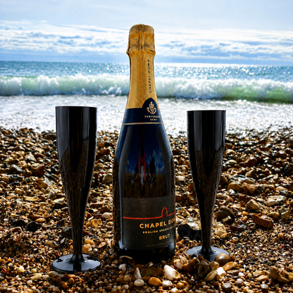 20 x Black Biodegradable Plastic Prosecco Champagne Flutes 175ml 6oz